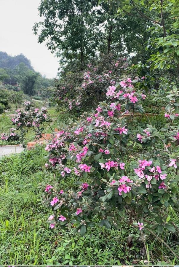 Homestay Riverside Cao Bang
