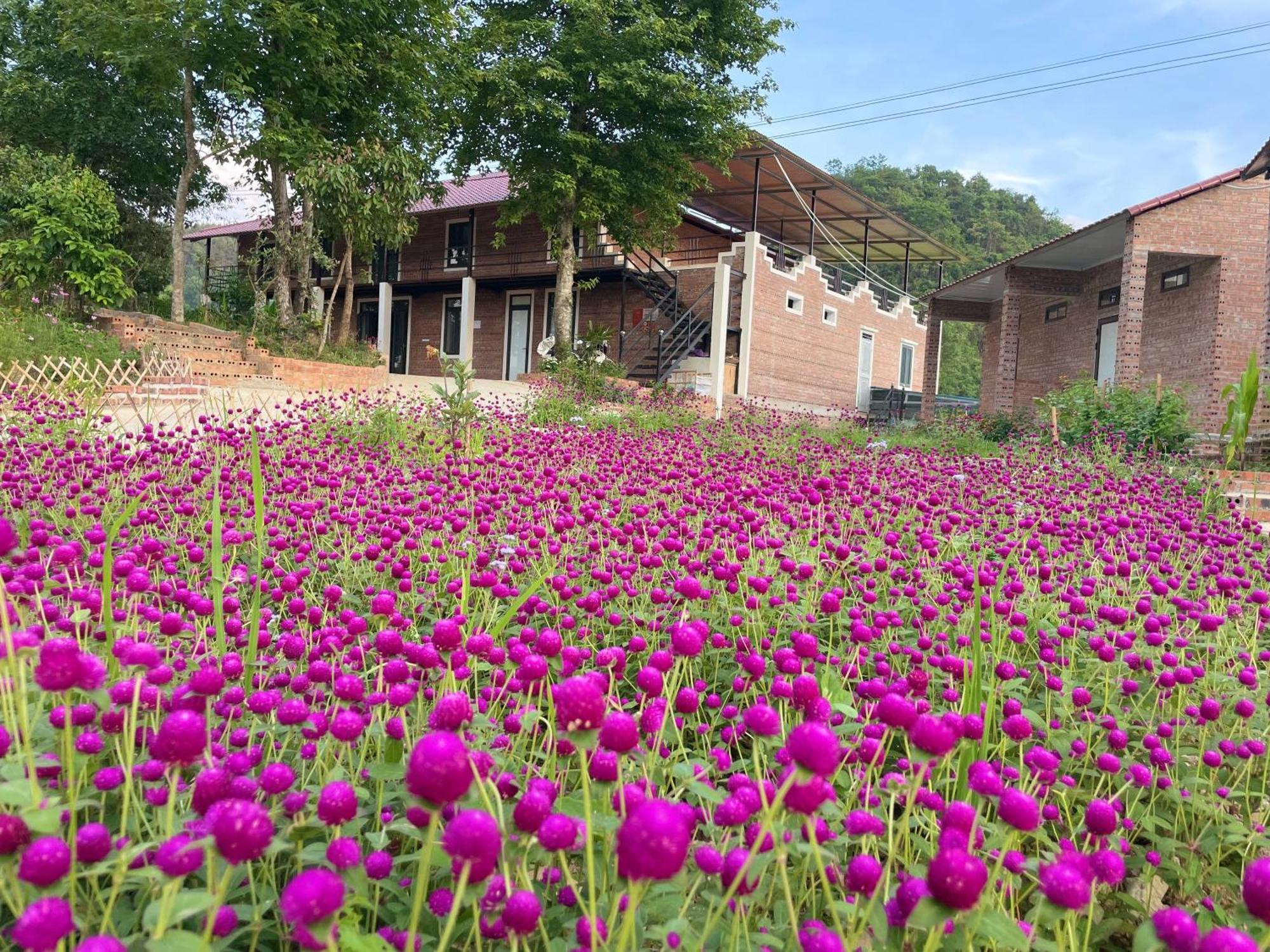 Riverside Homestay *